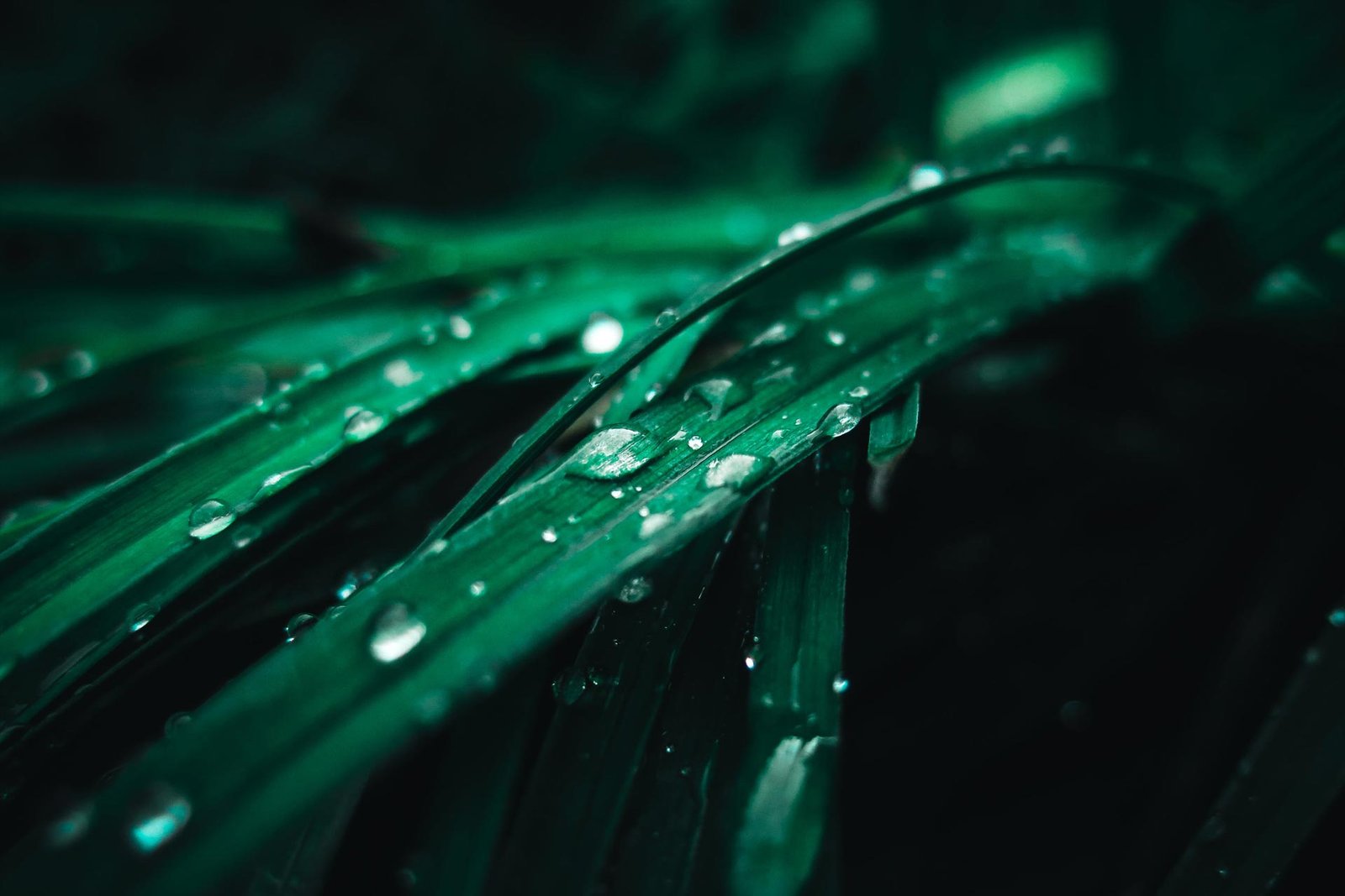 Photo by Vojta Kovařík from Pexels